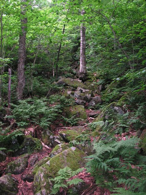 rocky descent to Story Spring